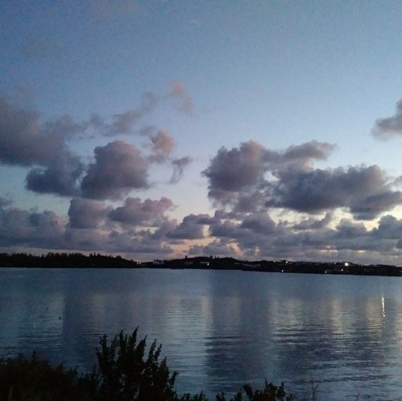 Meet your Posher, Rachael - Picture 4 of 4